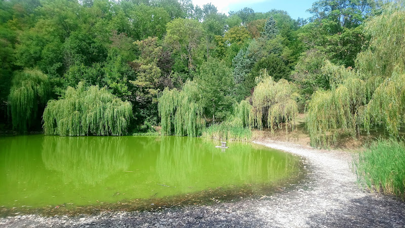 La Mare de Fontaine Les Dijon