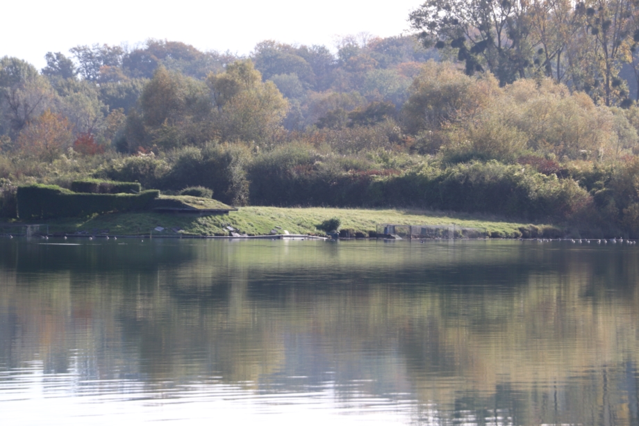 Photo de Jurassik Carpe - Etang 1