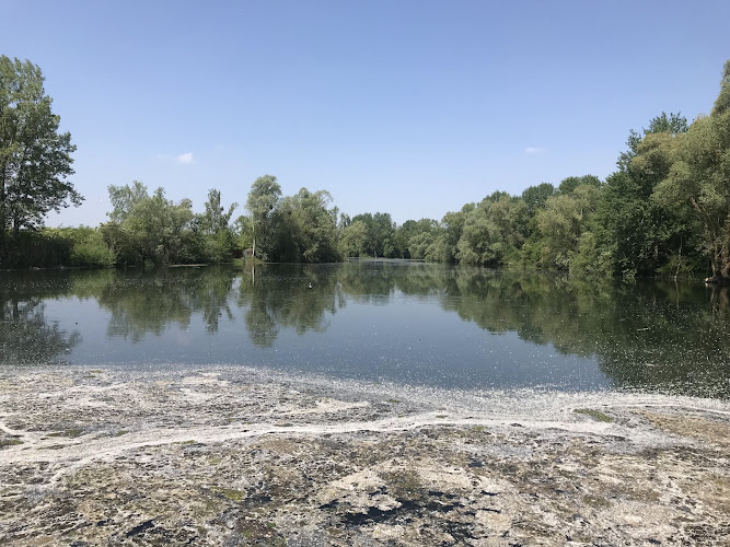 NAPOLEON LAKES