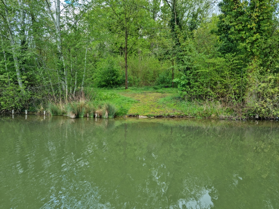 Photo de Jurassik Carpe - Etang 2
