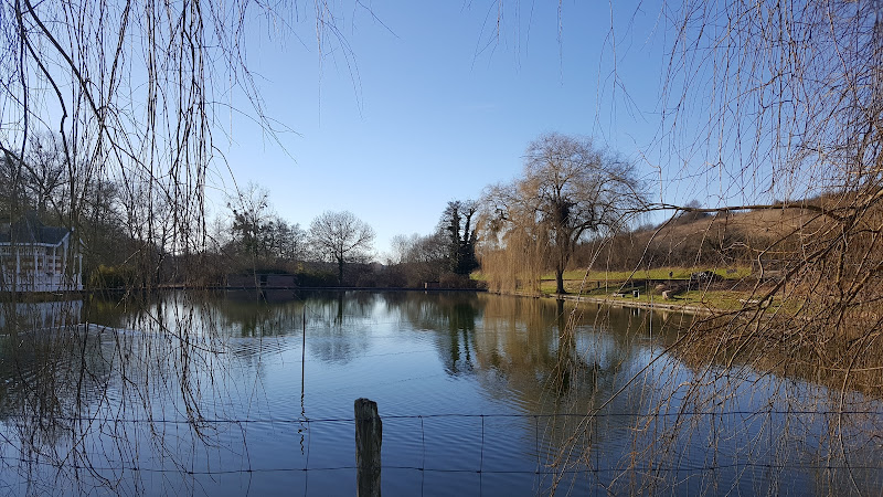 Photo de Etang de Sauge