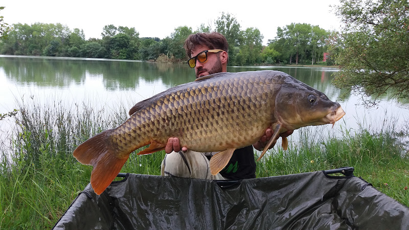 Pêche à la carpe